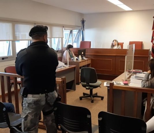 La defensa de la víctima pedirá la pena máxima para el imputado por el intento de femicidio