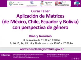 Curso Taller sobre “Aplicación de Matrices (de México, Chile, Ecuador y Bolivia) con perspectiva de género”