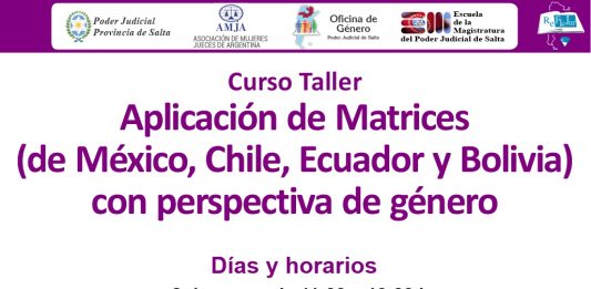 Curso Taller sobre “Aplicación de Matrices (de México, Chile, Ecuador y Bolivia) con perspectiva de género”