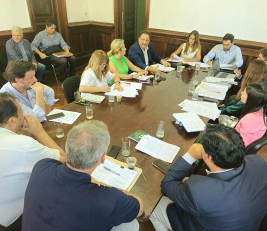 La Cámara de Diputados aprobó la modificación de la ley orgánica del Ministerio Público y pasa al Senado