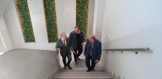 Trabajo conjunto y buenas prácticas: la Defensoría de Salta se reunió con pares de Tucumán