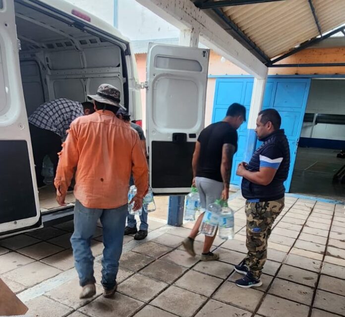 WhatsApp Image 2026-02-13 at 14.47.44